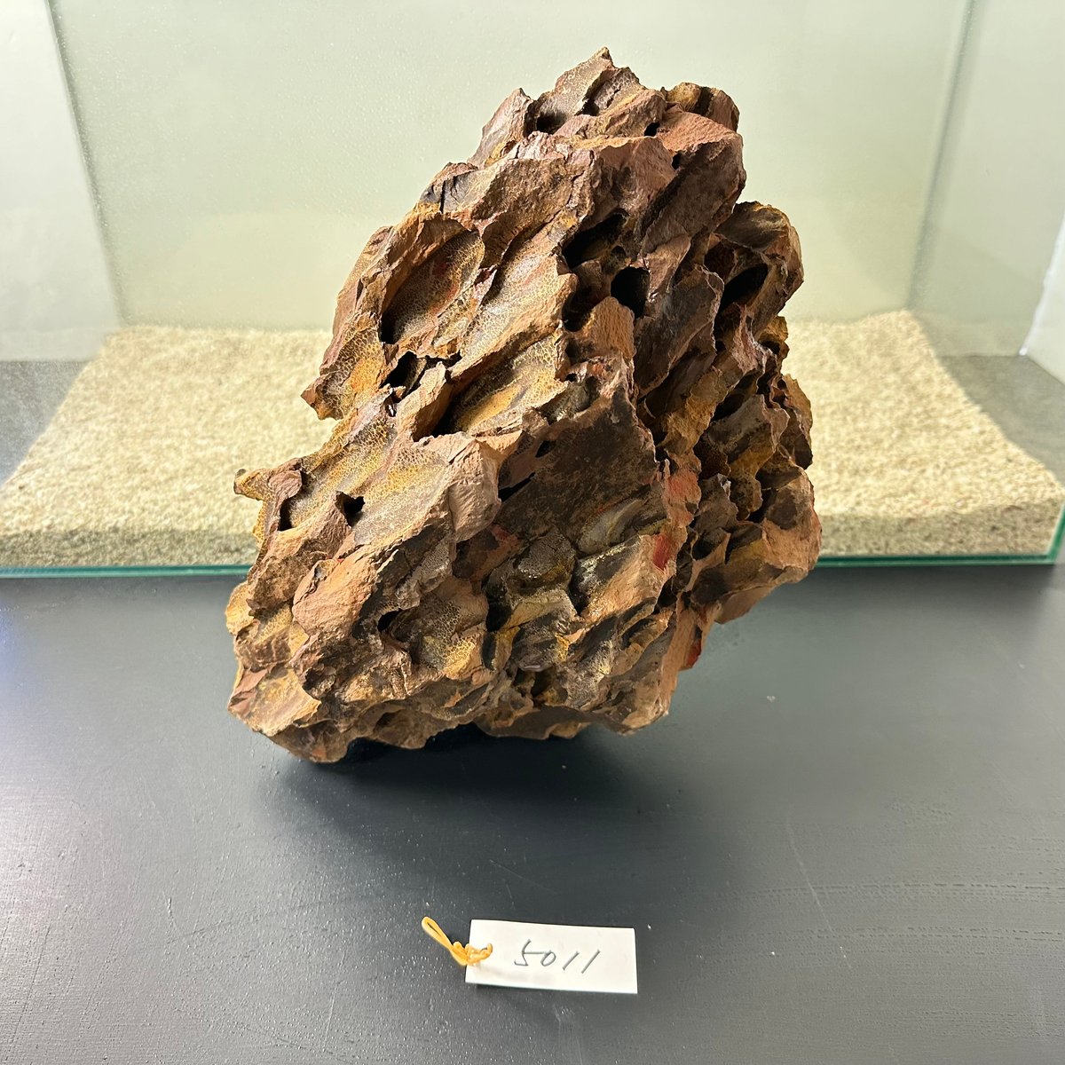 気孔石　20kg 特大2つ 気孔石 20kg 特大2つ 気孔石-7 | 杜若園芸WEBショップ｜水草の生産販売