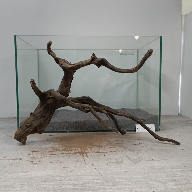 ネシア流木 ブラックタイプ Lサイズ 1点ものNo.1394【W約41cm】 | 流木