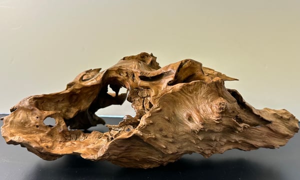 流木専門店のアクアリバー/アクアリウム/グリーンインテリア