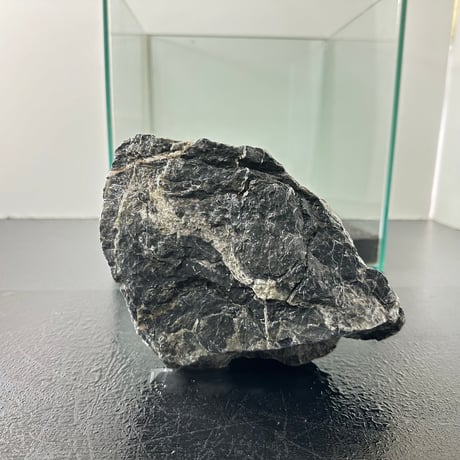 CATEGORY 1点もの（大型） | 流木専門店のアクアリバー/アクアリウム