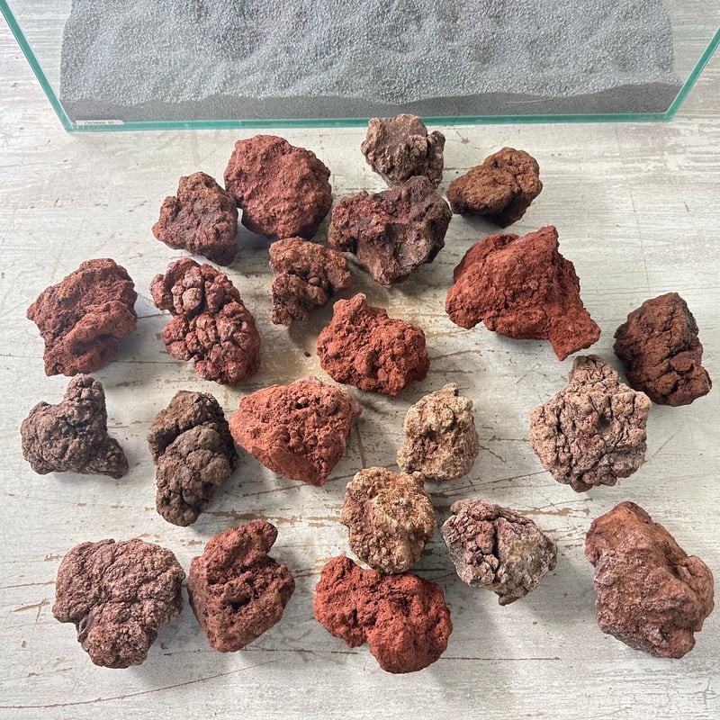レッド溶岩石Sサイズ(約5cm〜10cm) No.6550 現物撮影（22個入） | 流