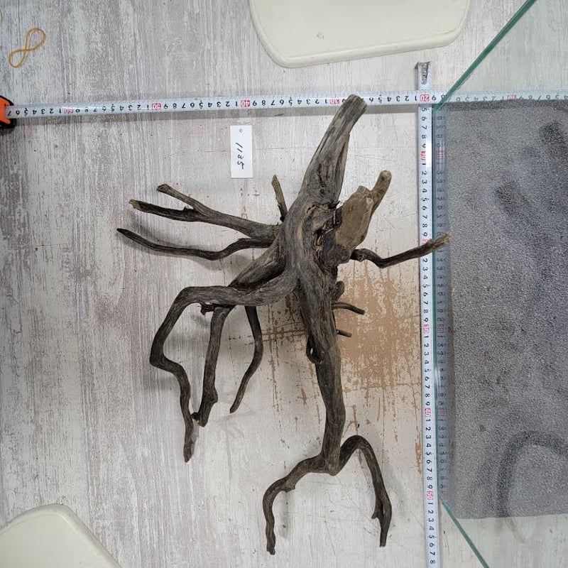 流木　約20.2㎝ ネシア流木 ブラックタイプ 2Lサイズ 1点ものNo.1135【W約50cm