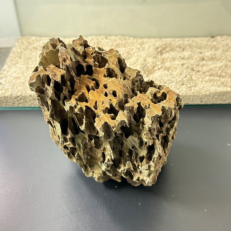 BIG気孔石塊 1点もの No.5012（W約23cm)(60cm水槽） | 流木専門店の