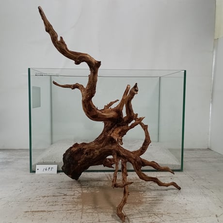 CATEGORY 流木（全種類） | 流木専門店のアクアリバー/アクアリウム