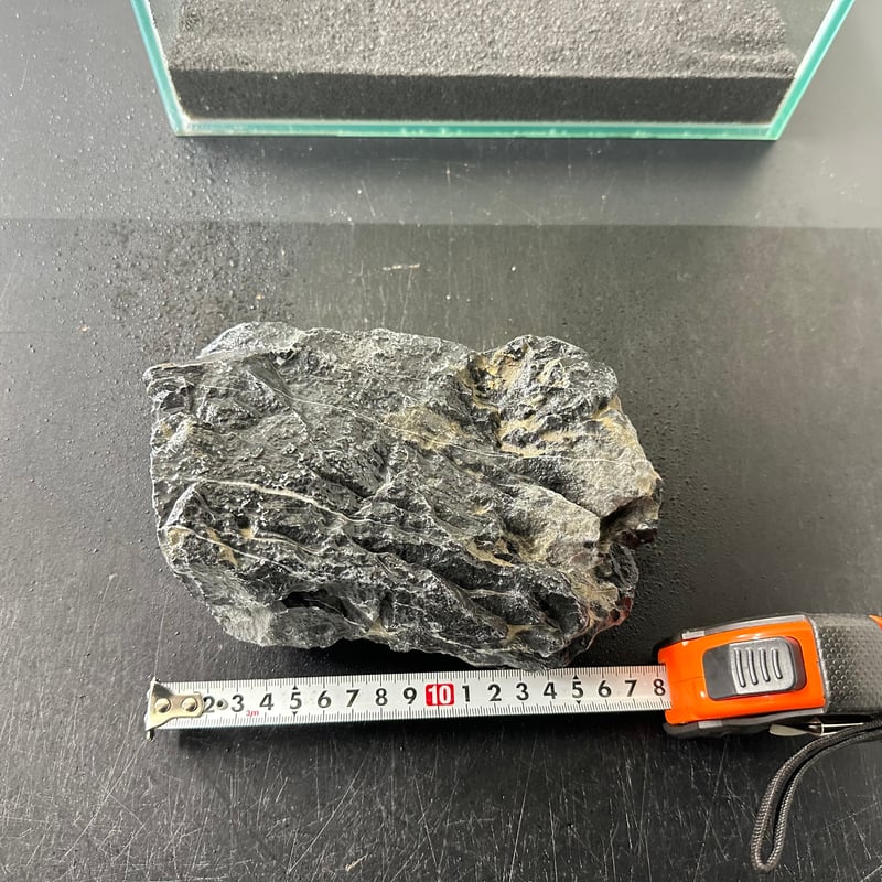 BIGドラゴンストーン 1点もの No.5555(W約18cm) (30cm水槽 BIGドラゴンストーン 1点もの No.5555(W約18cm) (30cm水槽