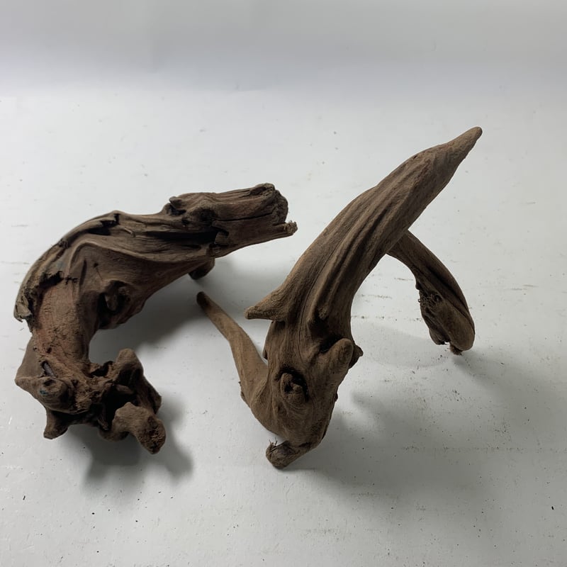 マングローブ系流木 Sサイズ15cm〜25cm おまかせ5本×2セット