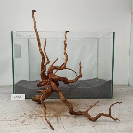 CATEGORY ブラウンブランチ | 流木専門店のアクアリバー/アクアリウム