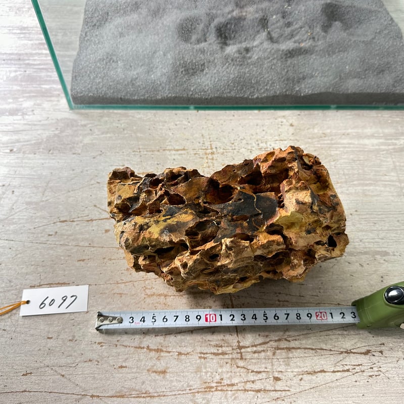 BIG気孔石塊 1点もの No.6097（W約23cm)(45cm水槽） | 流木専門店の