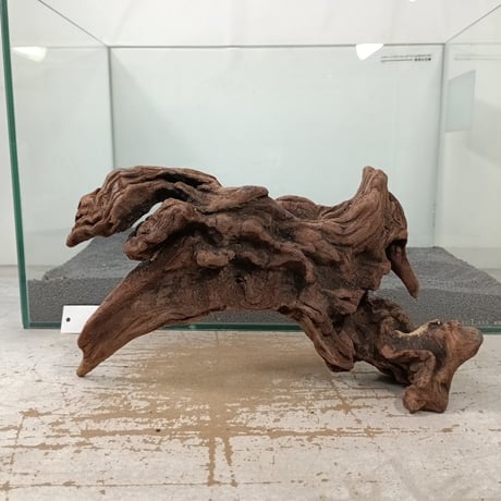 ウェンディロブ 流木2本セット CATEGORY 2L | 流木専門店のアクアリバー/アクアリウム/グリーンインテリア