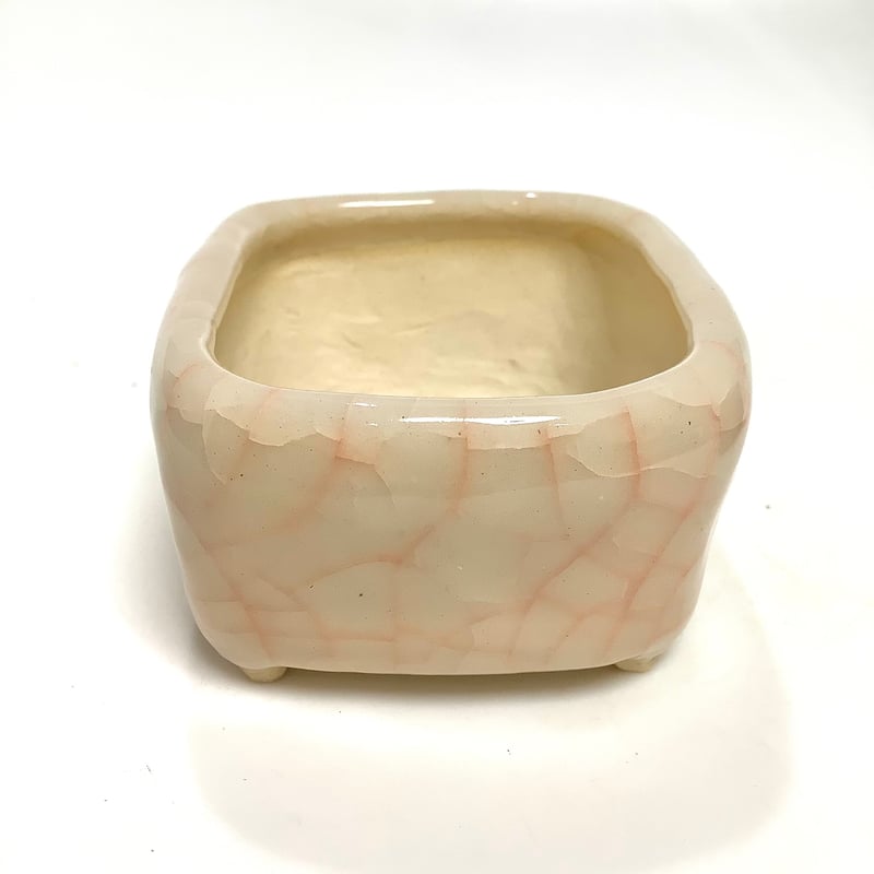 美豊　日本小品盆栽名品展出品記念ミニ盆栽鉢青竹絵付け他貫入白長方ミニ鉢白鉢セット 美豊 日本小品盆栽名品展出品記念ミニ盆栽鉢青竹絵付け他貫入白