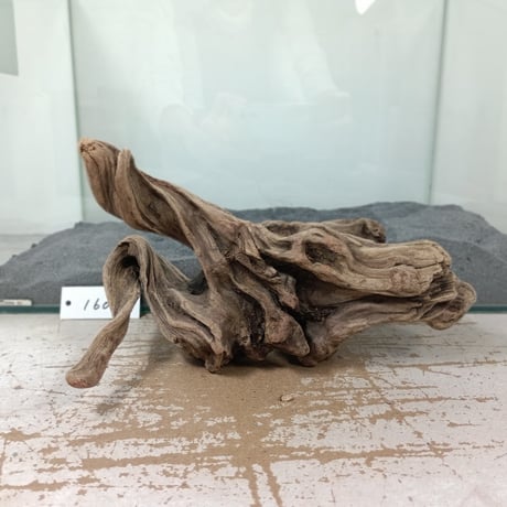 流木飾り台、サルスベリ 流木飾り台、サルスベリ - メルカリ