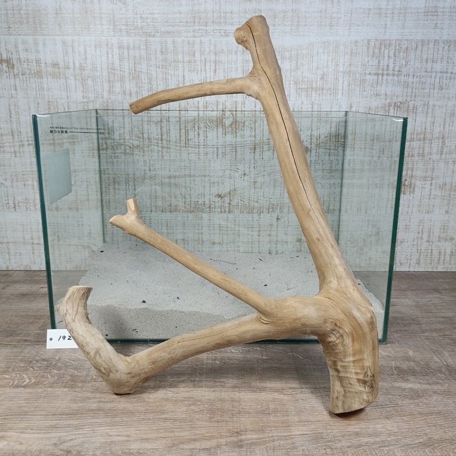 6a3ccd7563f5f6145f49d259
