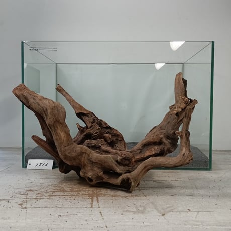 流木専門店のアクアリバー/アクアリウム/グリーンインテリア