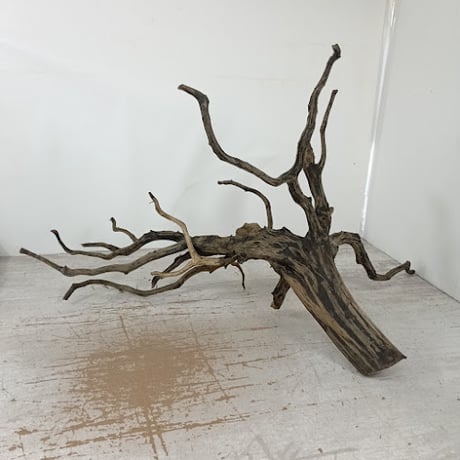 MRW-6128 赤系天然流木 90cm水槽レイアウトセット 流木 アクアリウム