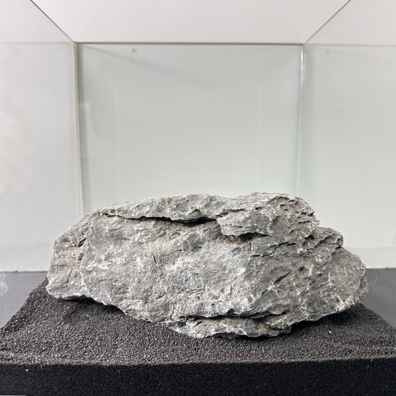 BIGドラゴンストーン 1点もの No.5559(W約26cm) (30cm水槽 BIGドラゴンストーン 1点もの No.5559(W約26cm) (30cm水槽