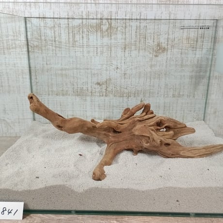 マングローブ系流木   Lサイズ　オンリーワン ★現物撮影  1点　No.1841(W約38㎝）