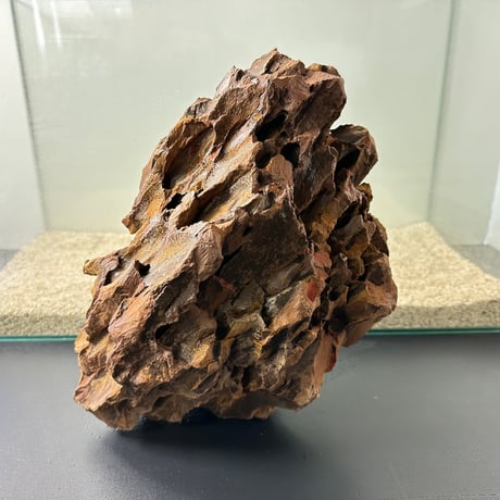 BIG気孔石塊　１点もの　No.5011（W約31cm/H約25cm)(60cm水槽）