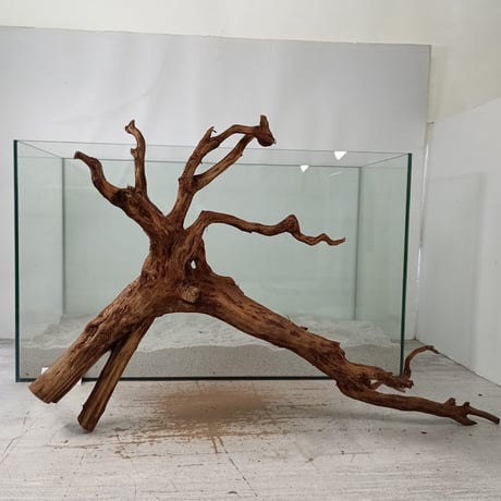 CATEGORY ブランチ系流木 | 流木専門店のアクアリバー/アクアリウム