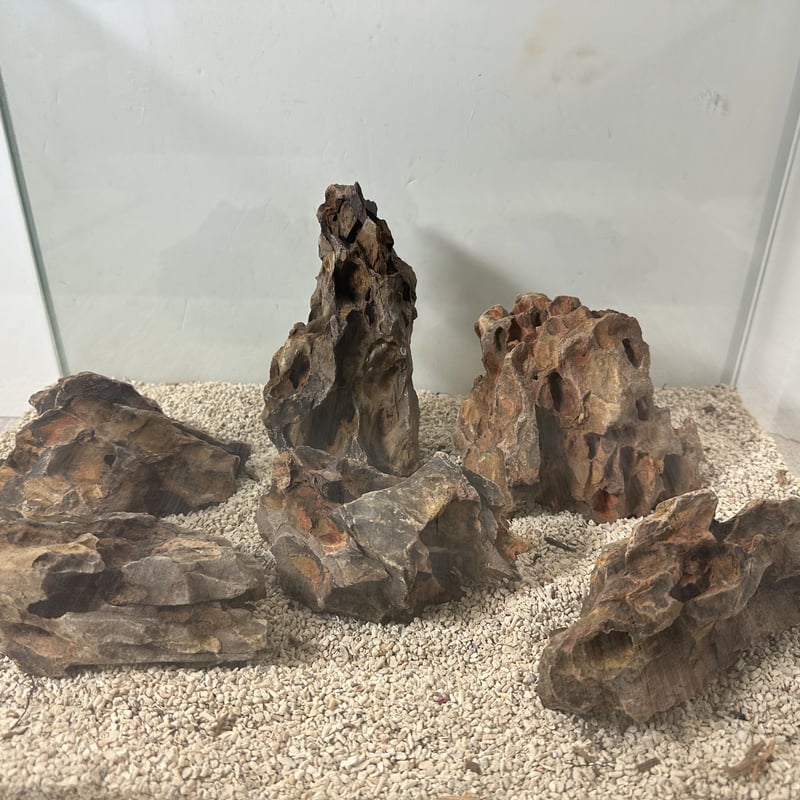 気孔石Sサイズ おまかせ3㎏ | 流木専門店のアクアリバー 気孔石Sサイズ おまかせ3㎏ | 流木専門店のアクアリバー