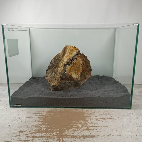 BIG木化石　１点もの　NO.1620（W約20cm/H約16cm)(45cm水槽）