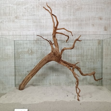 お買い得ビッグネシア流木 ブラウンタイプ　3Lサイズ　1点ものNo.1819【W約 54cm】