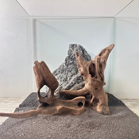 CATEGORY 流木（全種類） | 流木専門店のアクアリバー/アクアリウム