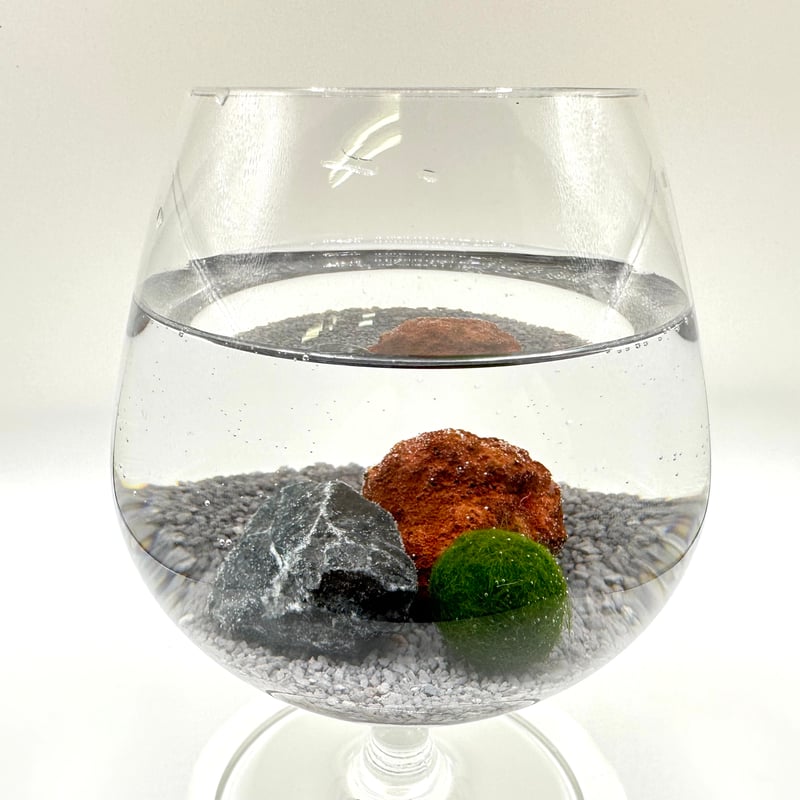 まりもページ マリモSサイズ単品（1個）（サイズ直径約10mm) | 流木専門店の