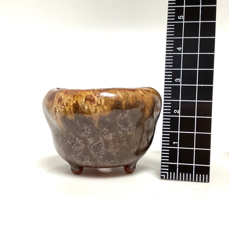 ミニ豆盆栽鉢　玉木啓子造   No.34　【サイズ40mm以下】１点もの現物撮影