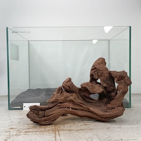 CATEGORY マングローブ系流木 | 流木専門店のアクアリバー