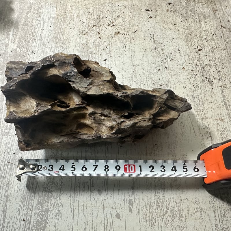 気孔石　3個セット 楽天市場】カミハタ アクアリウムロック 気孔石 レイアウト