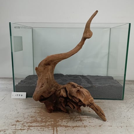 流木専門店のアクアリバー/アクアリウム/グリーンインテリア