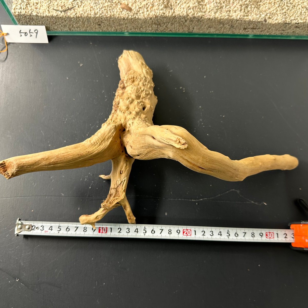 3本組ブランチウッド Lサイズ（1点ものW約25cm-30cm） No.5059 (4