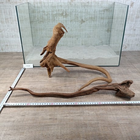 お買い得！！ロングマングローブ系流木   5本組　オンリーワン ★現物撮影  1点　No.1939(W約38～64㎝前後）