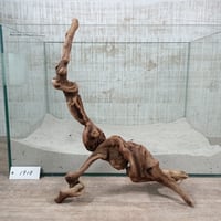くねくねロングマングローブ系流木   　オンリーワン ★現物撮影  1点　No.1918(W約38㎝）