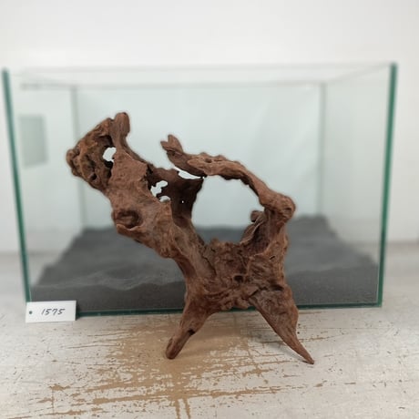 CATEGORY マングローブ系流木 | 流木専門店のアクアリバー