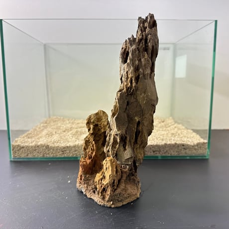 気孔石山（美型） 一点物の水槽オブジェ No. 5072  (45cm水槽)(W約20cm/H約28cm)