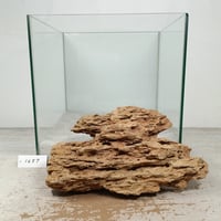BIG気孔石　１点もの　No.1657（W約27cm)(30cm水槽）