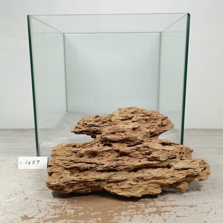 CATEGORY 気孔石 | 流木専門店のアクアリバー/アクアリウム/グリーン