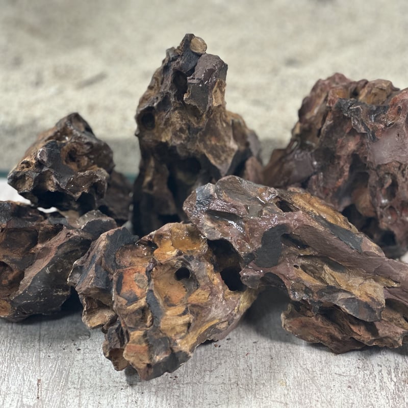 気孔石Sサイズ おまかせ3㎏（kgあたり660円） | 流木専門店の