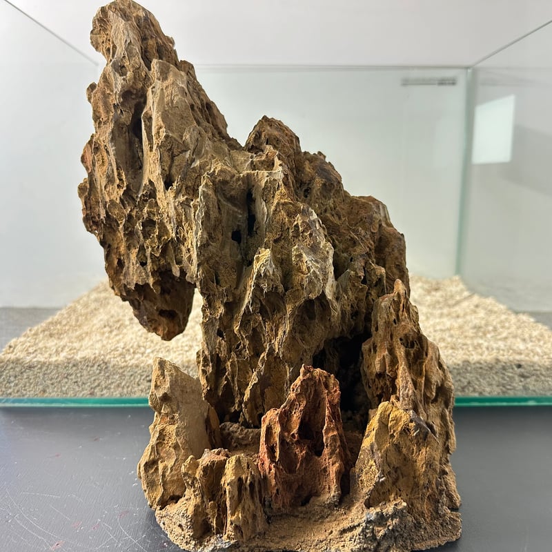 気孔石山（美型） 一点物の水槽オブジェ No. 5068 (45cm水槽)(W約21cm/H