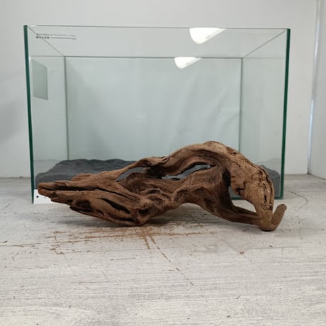 CATEGORY マングローブ系流木 | 流木専門店のアクアリバー