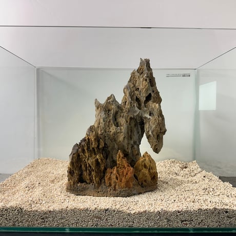 気孔石山（美型） 一点物の水槽オブジェ No. 5072  (45cm水槽)(W約20cm/H約28cm)