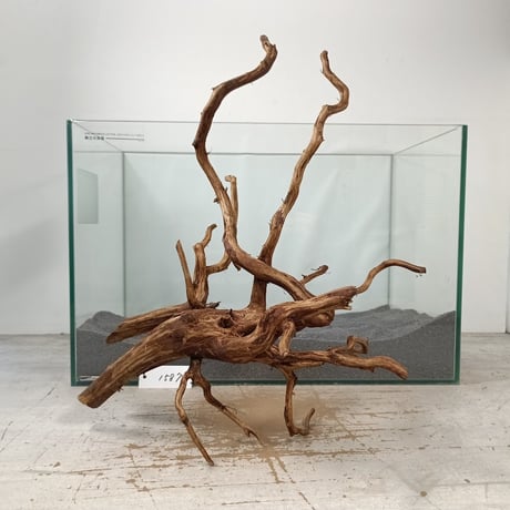 CATEGORY 流木（全種類） | 流木専門店のアクアリバー/アクアリウム