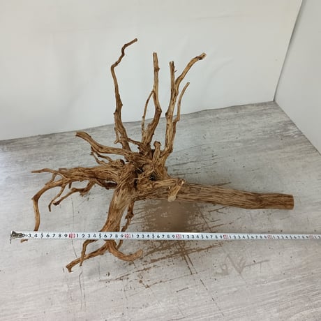 ビッグネシア流木 ブラウンタイプ　3Lサイズ　1点ものNo.1470【W約 60cm】