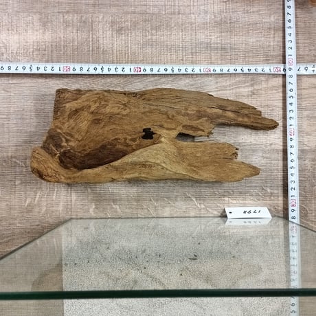 希少山型流木   Lサイズ　オンリーワン ★現物撮影  1点　No.1798(W約31㎝）  ★★オブジェ、インテリアにも★★
