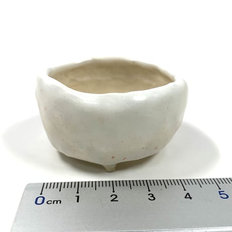 ミニ盆栽　玉木啓子造   No.11　【サイズ50mm以下】１点もの現物撮影