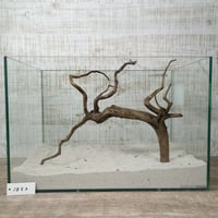 ネシア流木 ブラックタイプ　3Lサイズ　1点ものNo.1853【W約49cm】