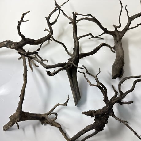 流木中サイズです！ 形状お任せ 自然流木 中(約20cm~) 3本セット | チャーム