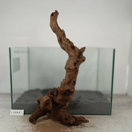 流木ア一ト、置物。 CATEGORY マングローブ系流木 | 流木専門店のアクアリバー