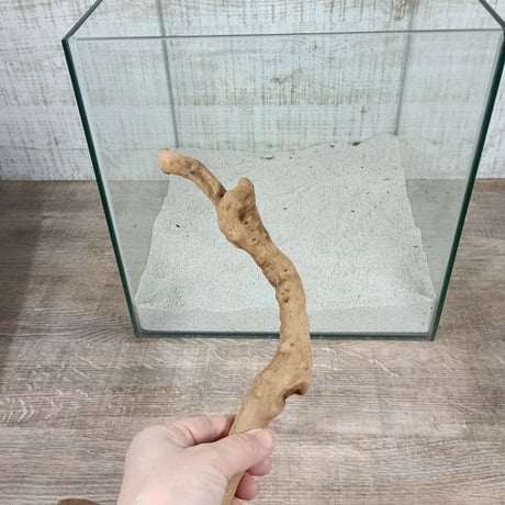 マングローブ系流木 スティックタイプ 約25～30㎝   おまかせ    10本入り